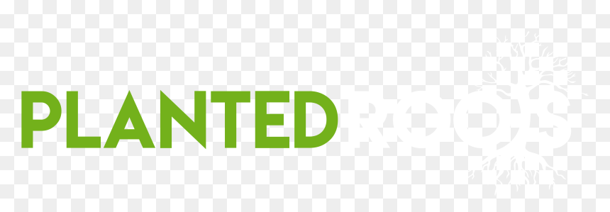 Planted Roots Cape Town - Graphic Design, HD Png Download - bamboo tree png