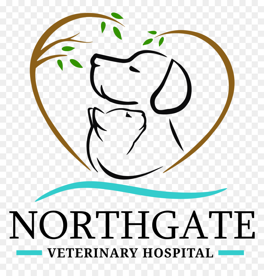 Image Is Not Available - Illustration, HD Png Download - vet png