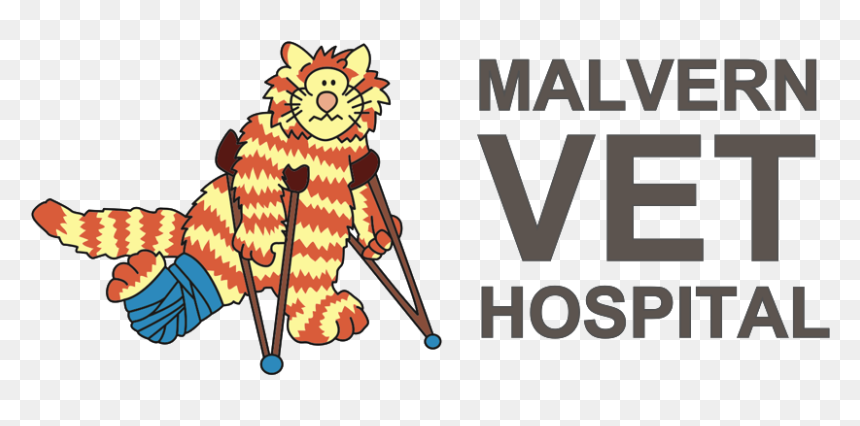 Cartoon, HD Png Download - vet png