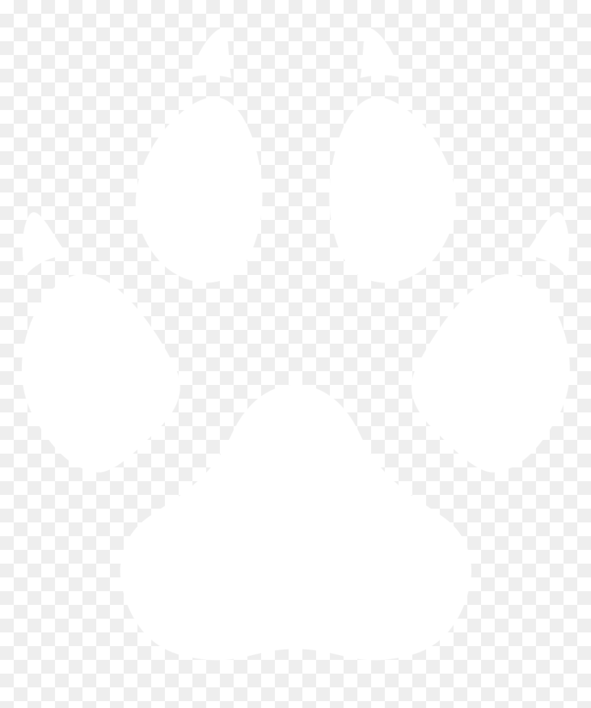 Pet Shop Background, HD Png Download - earth black and white png
