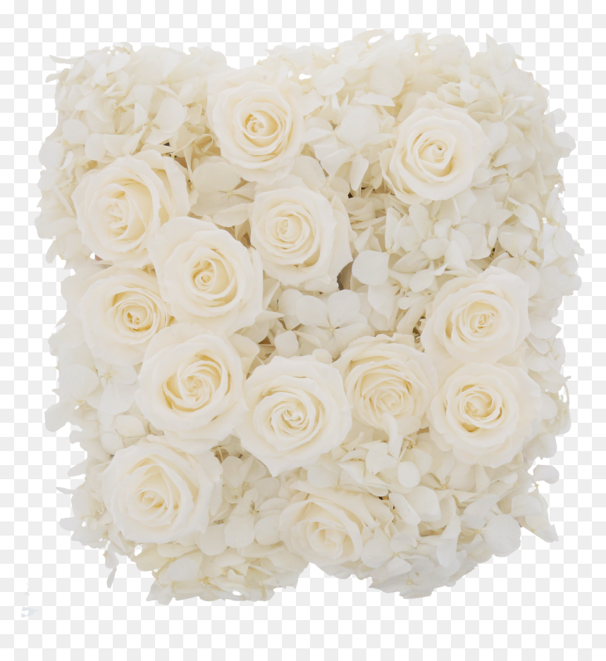 Hydrangea Rose Box - Hybrid Tea Rose, HD Png Download - falling roses png