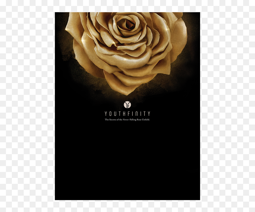 Mary Kay Youthfinity, HD Png Download - falling roses png