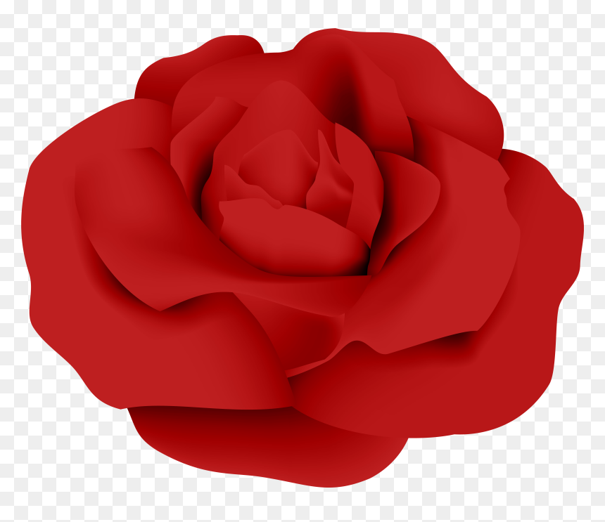 Garden Roses Red Petal, HD Png Download - falling roses png