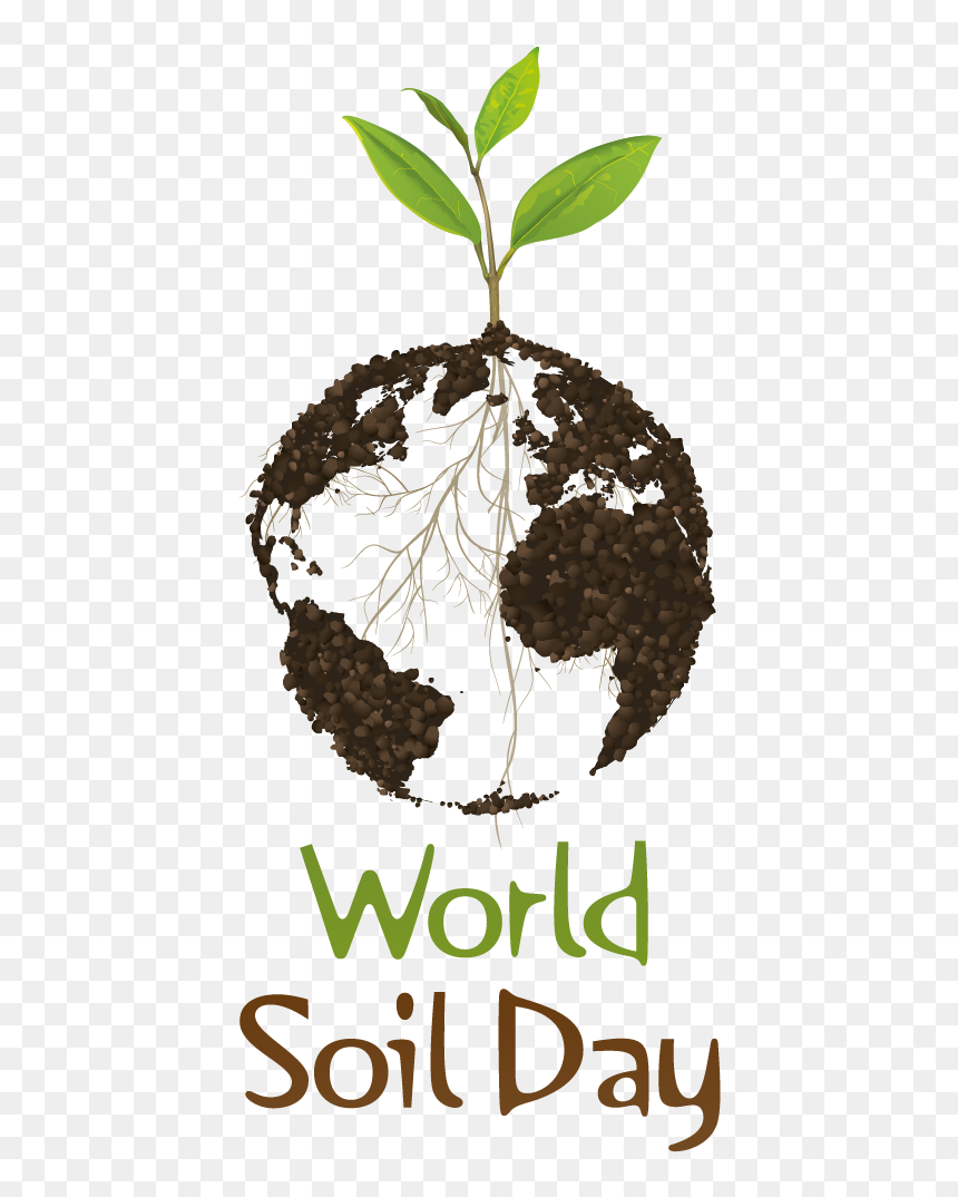 World Soil Day 2019 Poster, HD Png Download - wold png