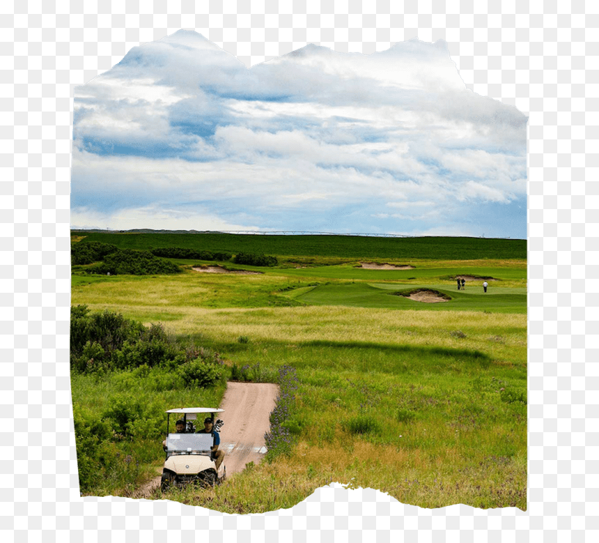Grassland, HD Png Download - wild horse png
