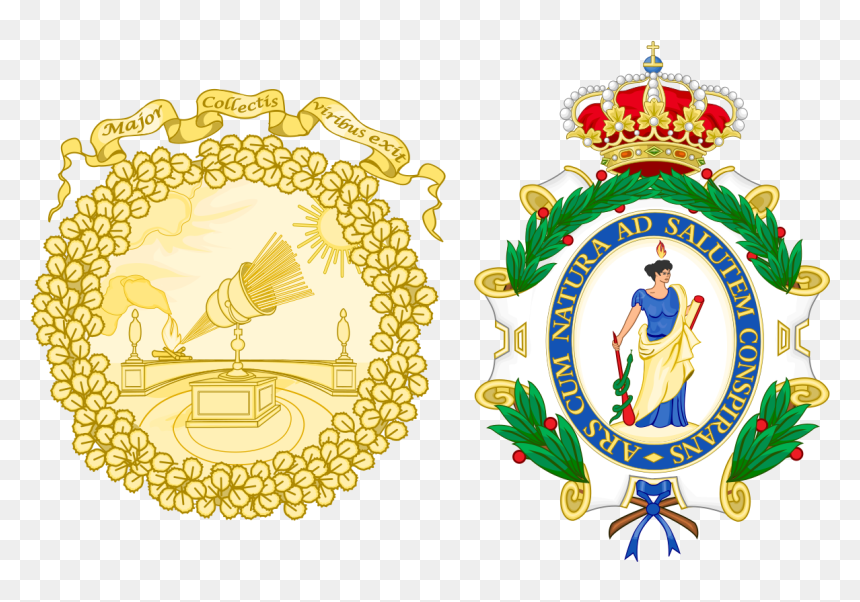 Royal Academy Of Science Letters And Fine Arts Of Belgium, HD Png Download - medicine symbol png