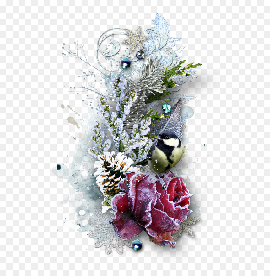❄️ Hiver Png, Tube, Oiseau, Cluster - Picture Frame, Transparent Png - winter.png