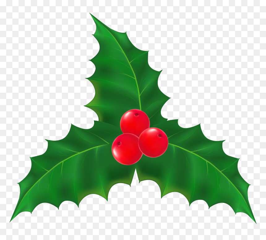Leaf At Getdrawings Com, HD Png Download - holly.png
