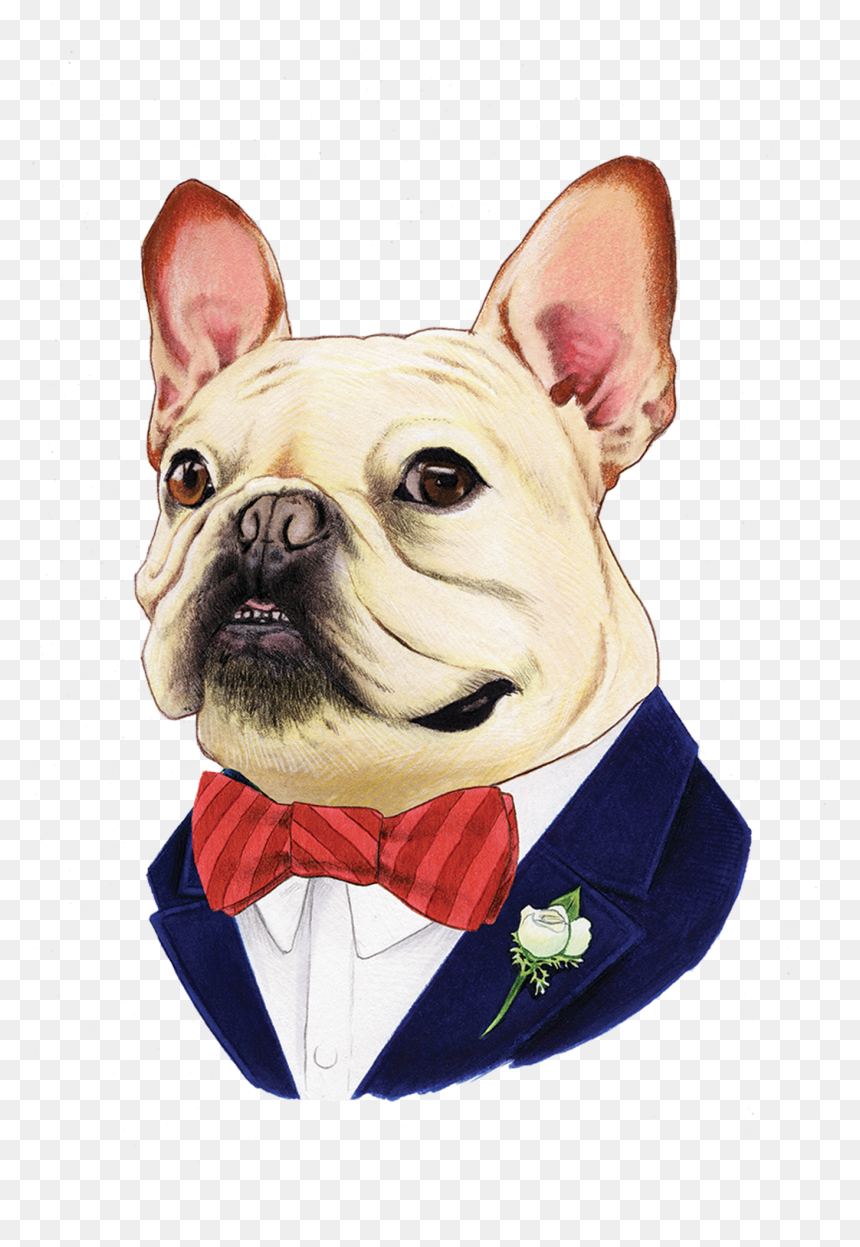 French Bulldog, HD Png Download - bull dog png