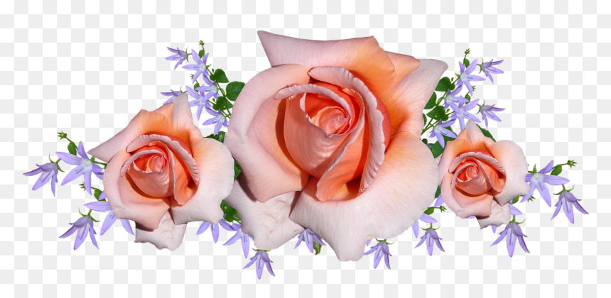 Thank You Messages To My Friends For Support Me During - Flower, HD Png Download - thank you for your support png