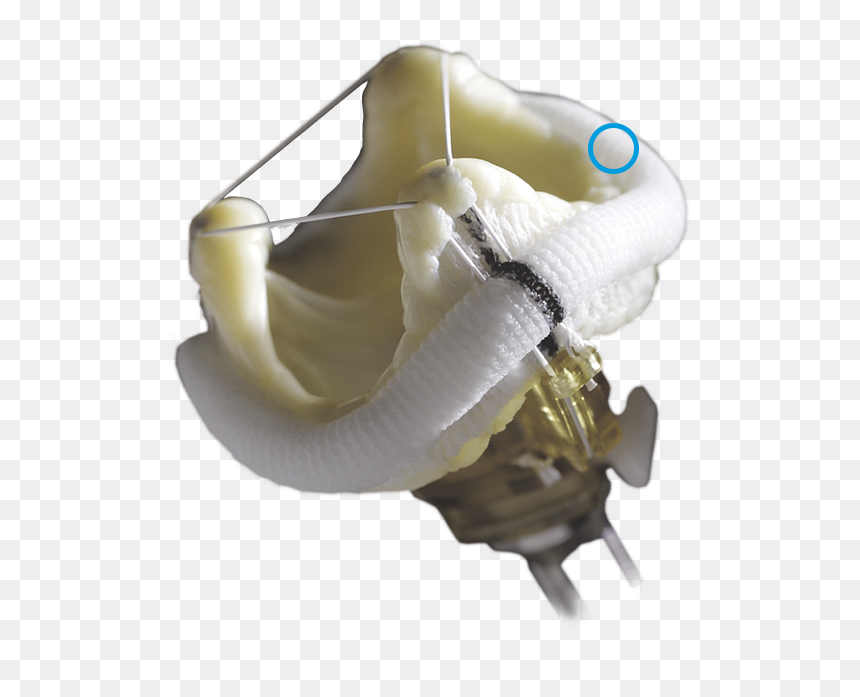 Epic Mitral, HD Png Download - claw tear png