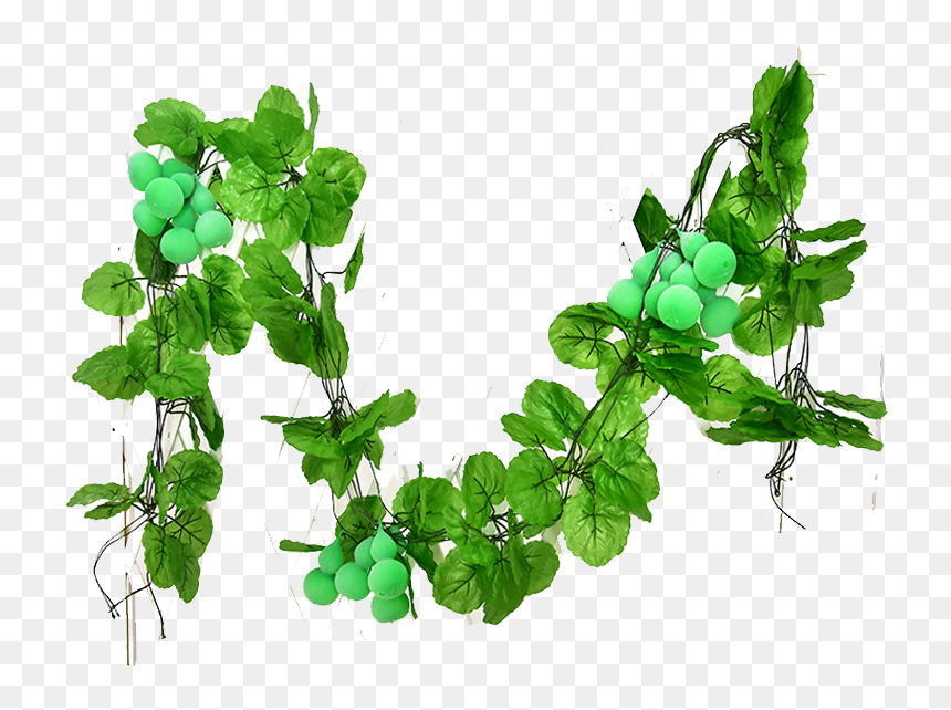 Special] Simulation Gourd Vine Fake Fruit And Vegetable - Tree, HD Png Download - fruit and vegetable png