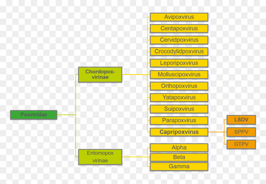 Taxonomy - Statistical Graphics, HD Png Download - disease png