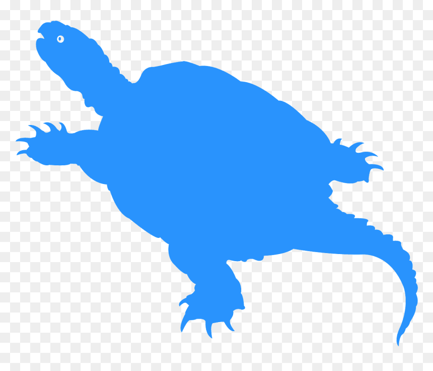Clip Art, HD Png Download - snapping turtle png