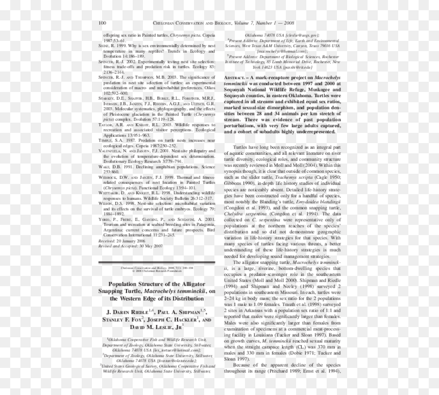 Document, HD Png Download - snapping turtle png