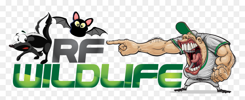 Rf Wildlife Removal - Cartoon, HD Png Download - snapping turtle png