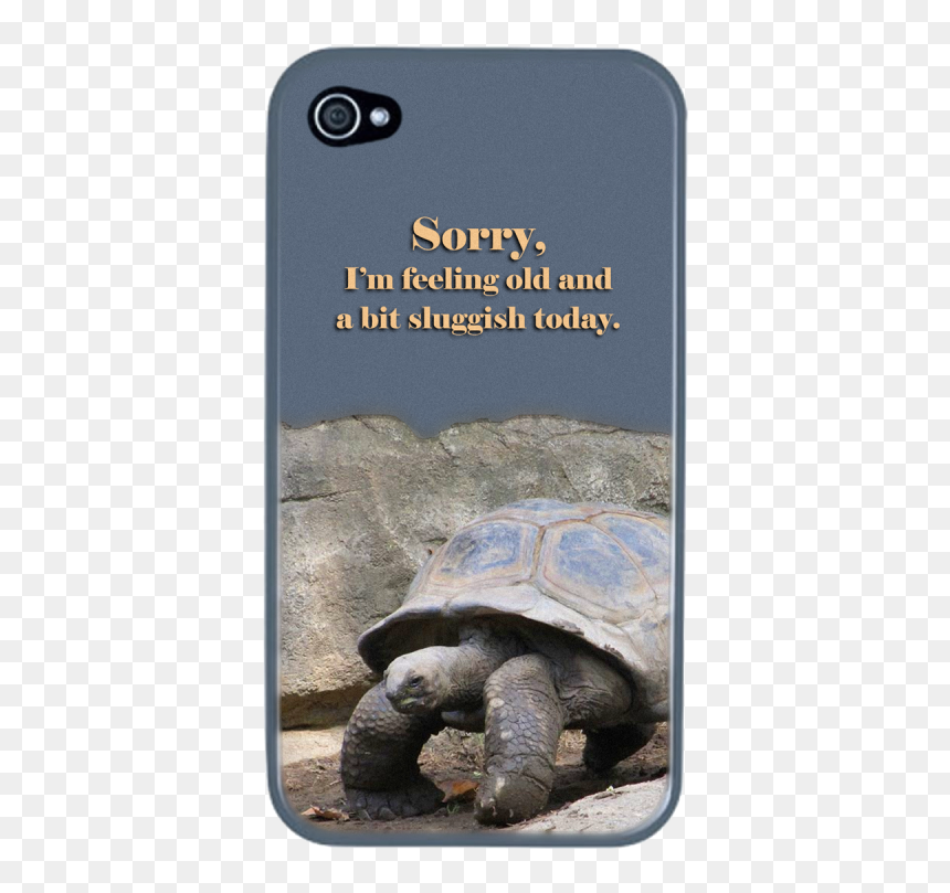 Giant Tortoise 1577058 Png, Transparent Png - snapping turtle png