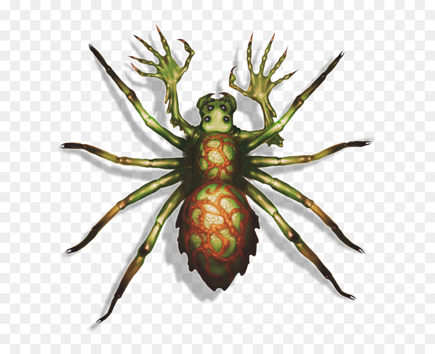 Cicada, HD Png Download - top down png
