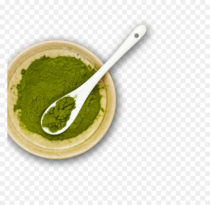 Duckweed Powder, HD Png Download - top down png