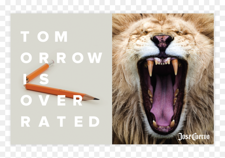 Tio Print Pencil - Stock Photography, HD Png Download - tiger print png