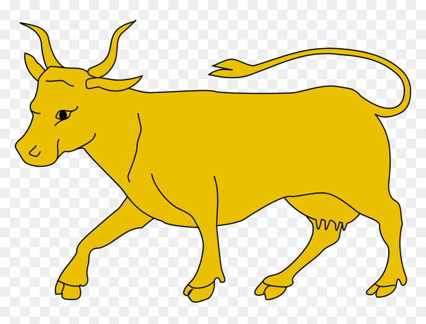 Clip Art Yellow Cow - Toro Bull Clipart, HD Png Download - cow png clipart