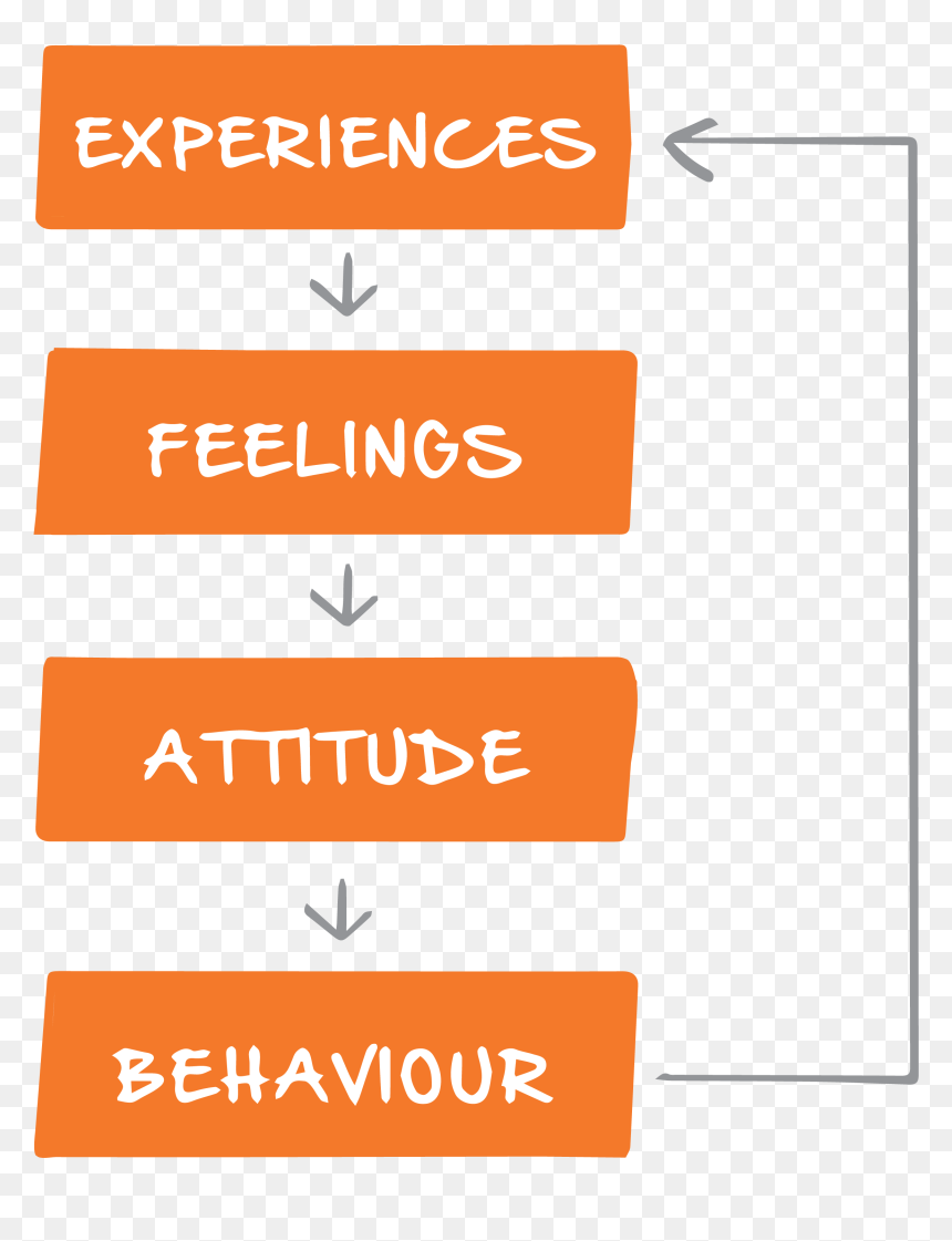 Amber, HD Png Download - positive attitude png
