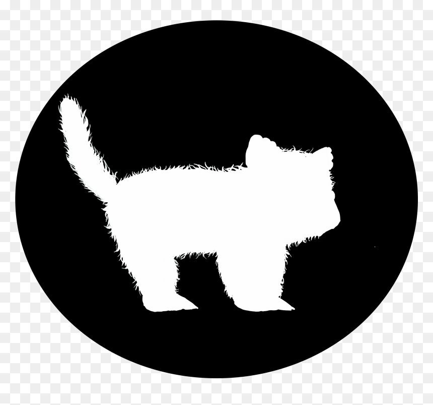 Kitten , Png Download - Cat, Transparent Png - kitten.png