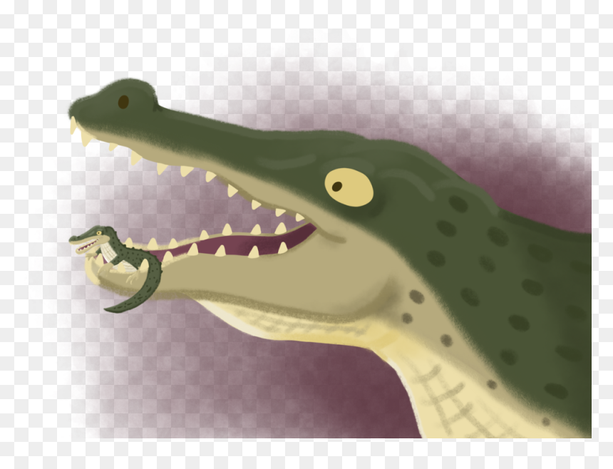 Crocodile - American Crocodile, HD Png Download - alligator.png