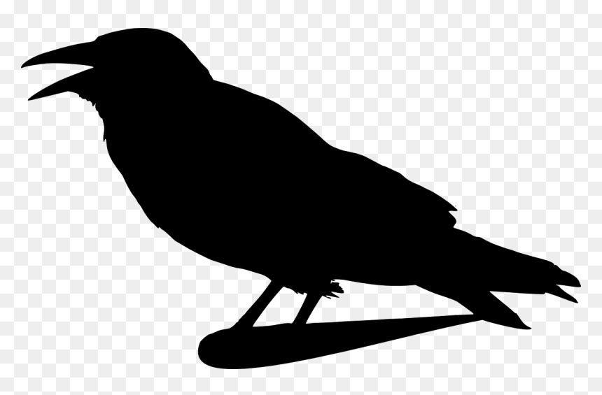 Thumb Image - Crow Clip Art, HD Png Download - raven png images
