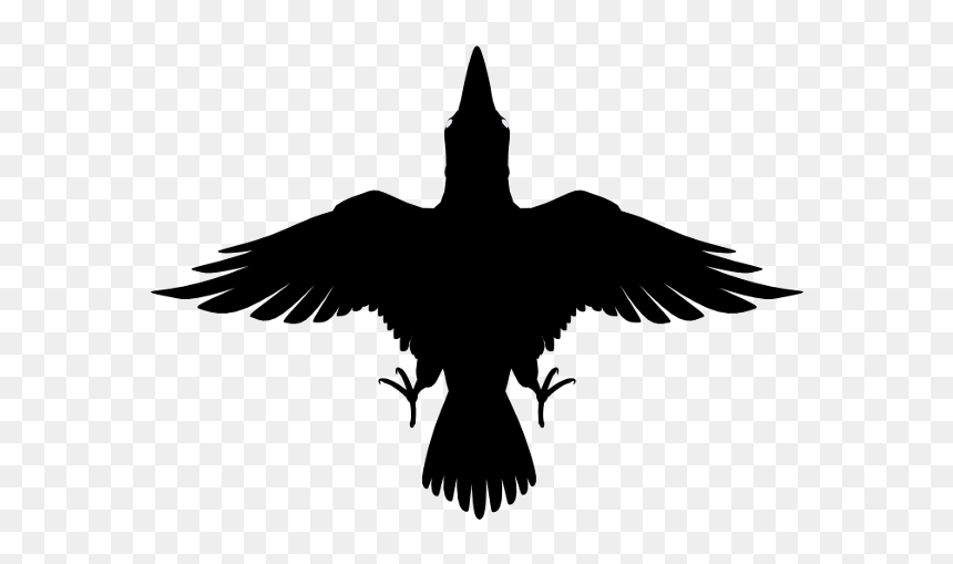 View Media - Eagle, HD Png Download - raven png images