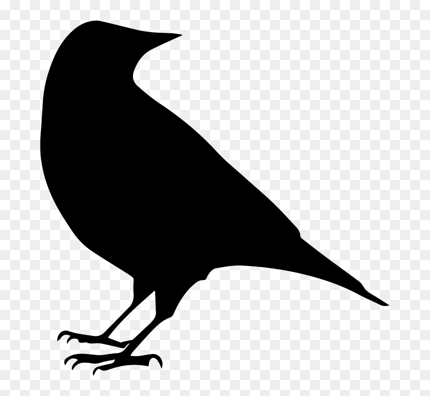 Swallow, HD Png Download - black crow png