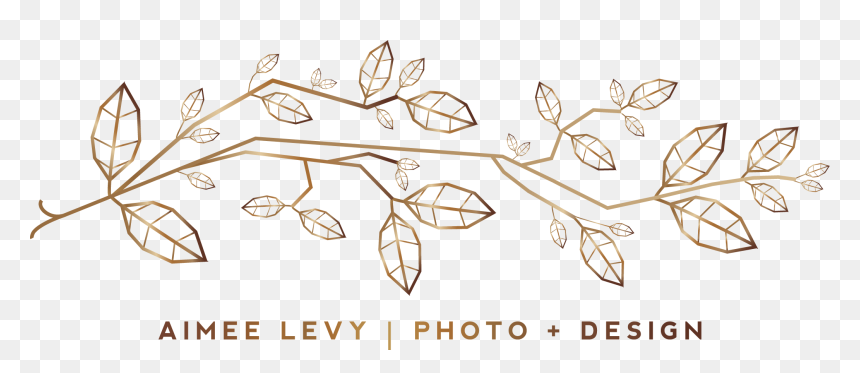 Drawing, HD Png Download - page divider design png