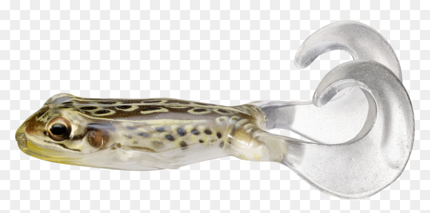 Beloniformes, HD Png Download - 1000 degree knife png