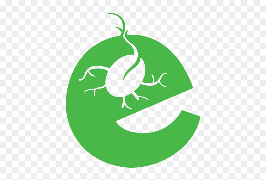 Illustration, HD Png Download - sprout png