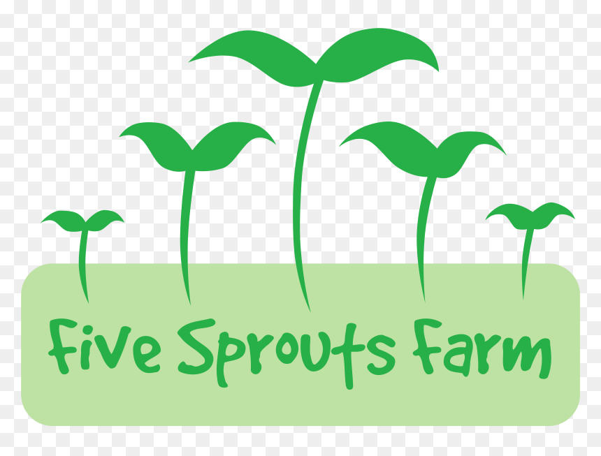 Amigos, HD Png Download - sprout png