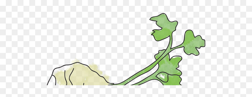 Clip Art, HD Png Download - sprout png