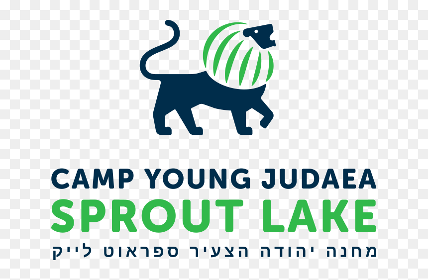 Camp Young Judaea Sprout Lake, HD Png Download - sprout png