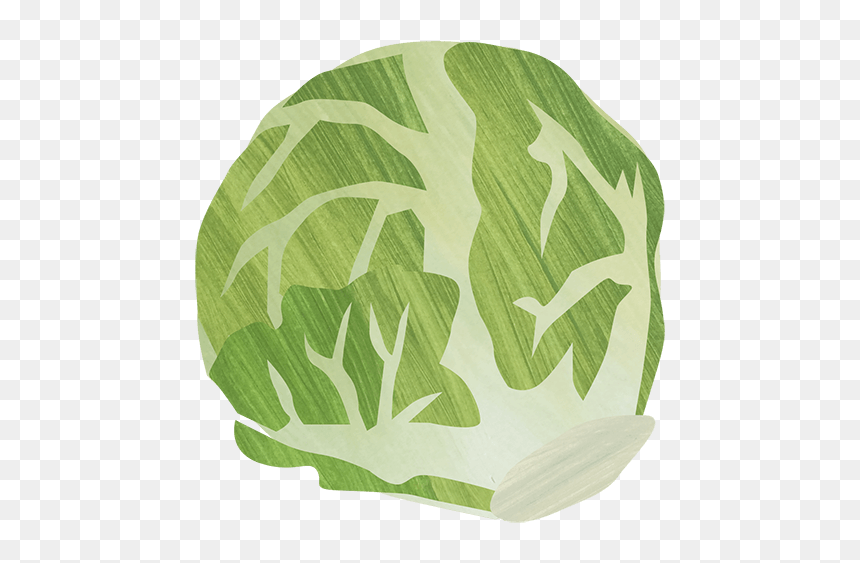 Cabbage, HD Png Download - sprout png