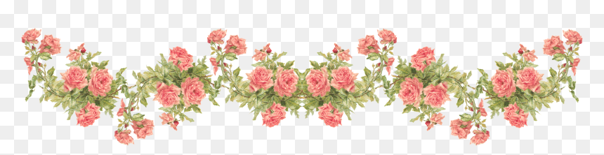 Peach Roses Transparent, HD Png Download - png flowers background images