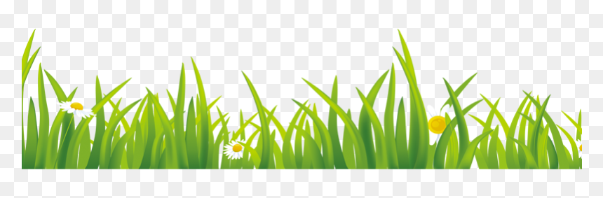 Grass, HD Png Download - grass png