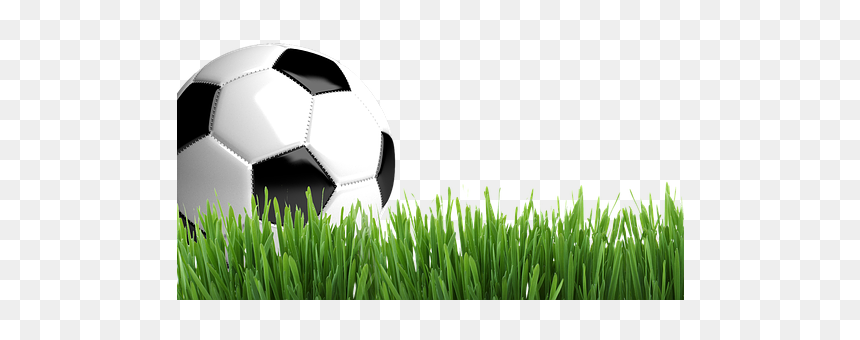 Football With Grass Png, Transparent Png - grass png