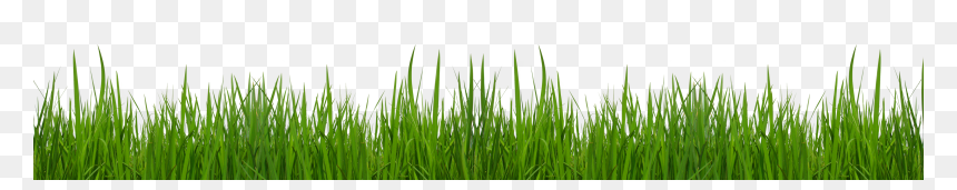 Transparent Grass Clipart, HD Png Download - grass png