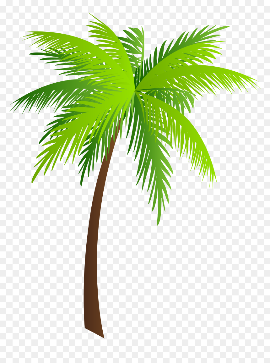 Palm Clip Art, HD Png Download - palm tree png