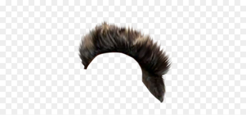 Buzzard, HD Png Download - hair png