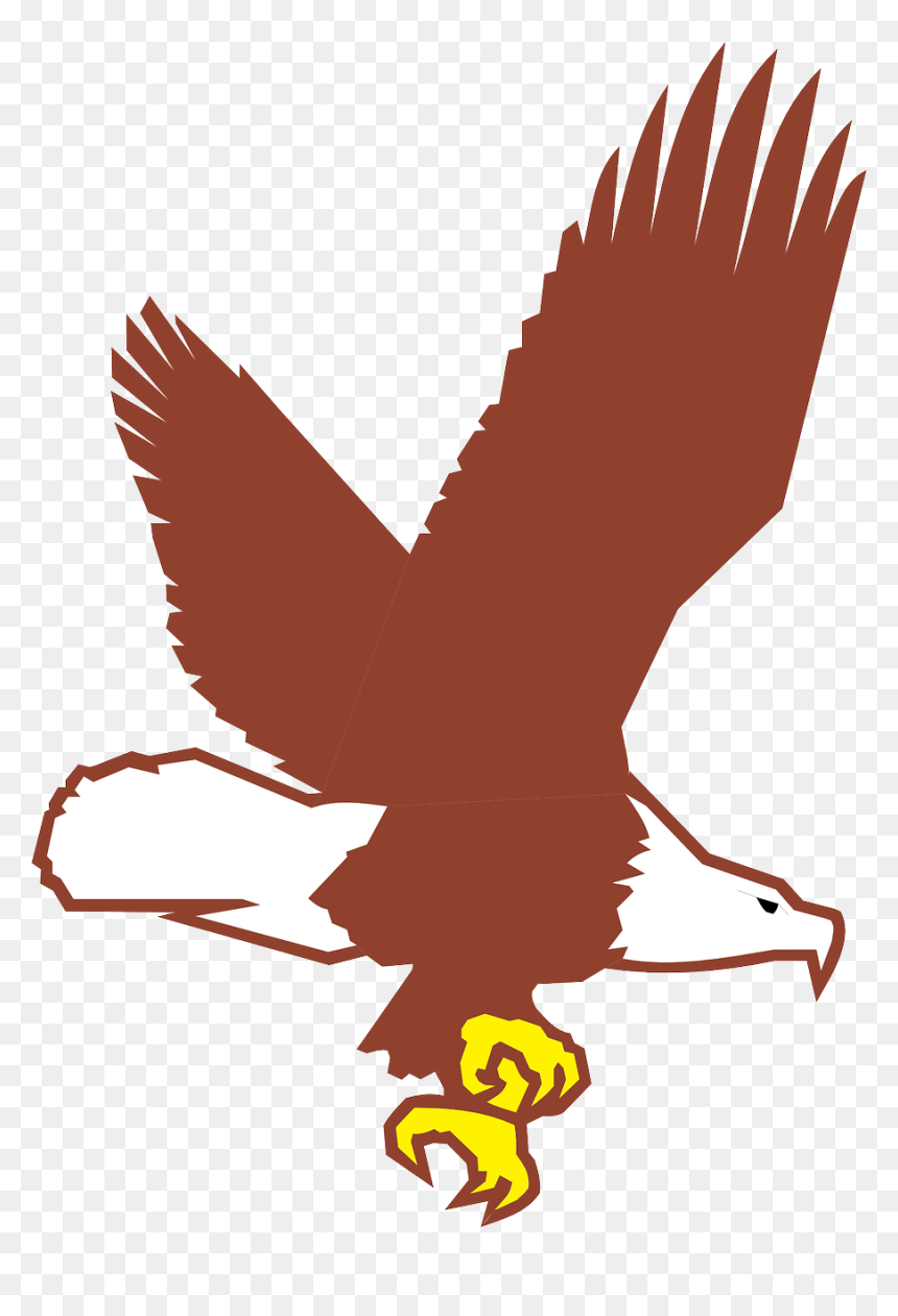 Cartoon Flying Bald Eagle, HD Png Download - bald eagle flying png