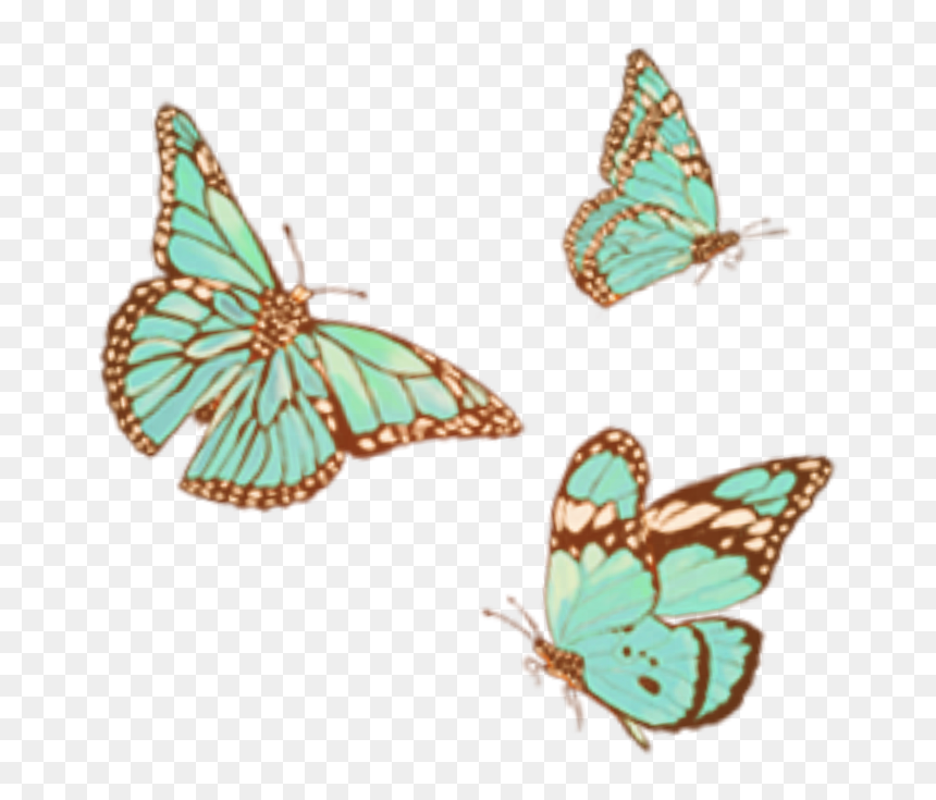 #vintage #vintageaesthetic #butterfly #butterflysticker - Ora Mi Fermo, HD Png Download - butterflypng
