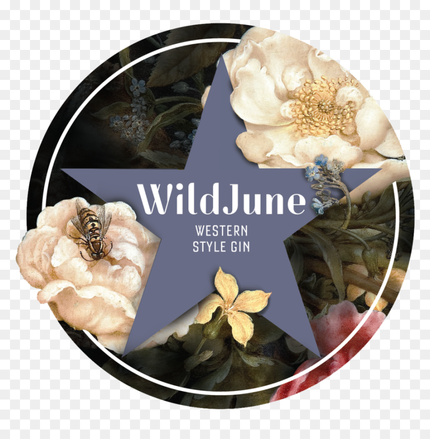 Wildjune - Rose, HD Png Download - find us on facebook transparent png