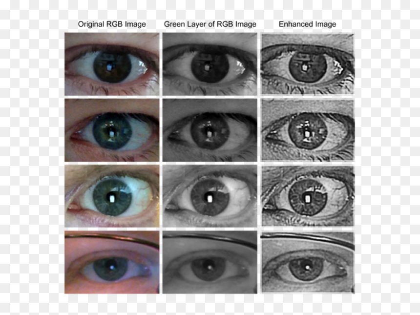 Close-up, HD Png Download - eye veins png