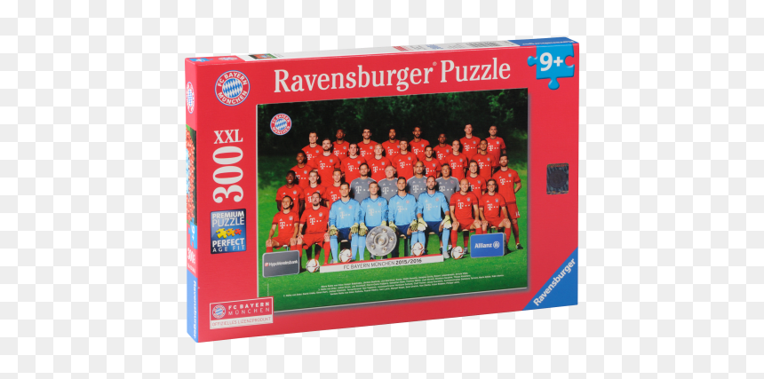 Team Puzzle 300 Pieces - Bayern Mnichov Puzzle, HD Png Download - 3d puzzle pieces png