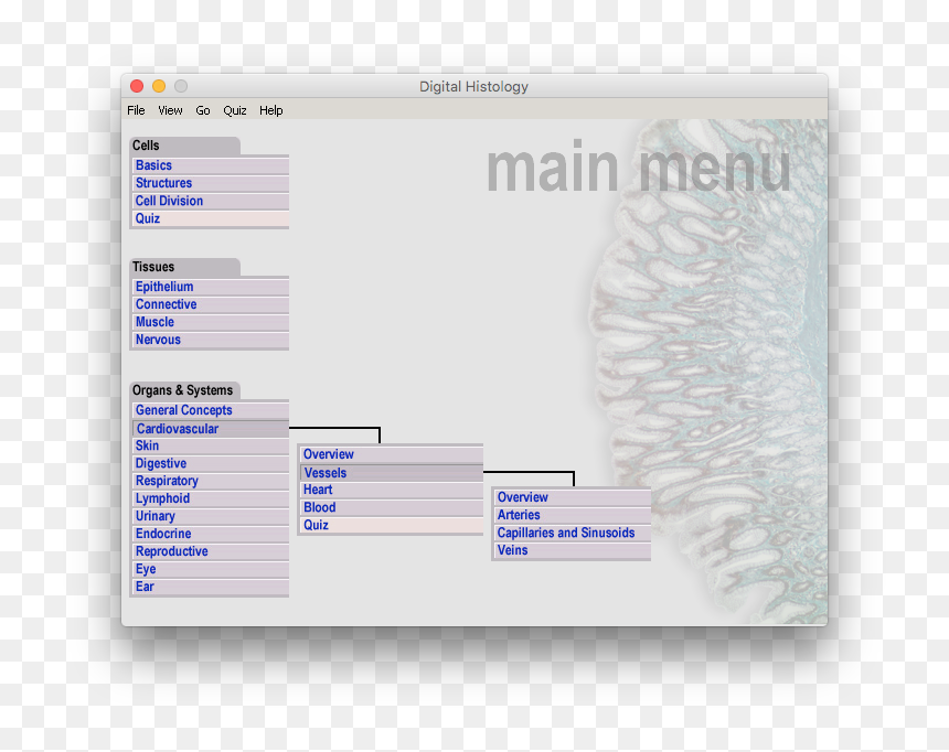 The Stacked Tiering Of The Histology Menu - Utility Software, HD Png Download - eye veins png
